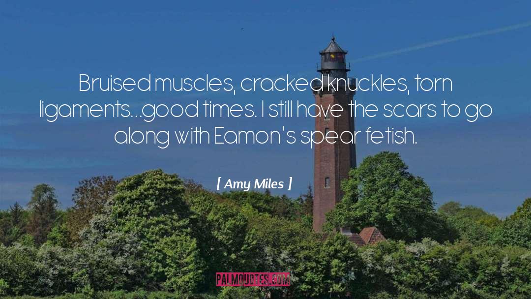 Amy Miles Quotes: Bruised muscles, cracked knuckles, torn