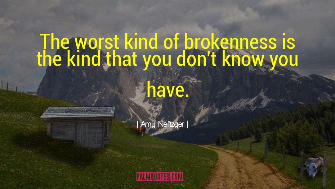 Amy Neftzger Quotes: The worst kind of brokenness