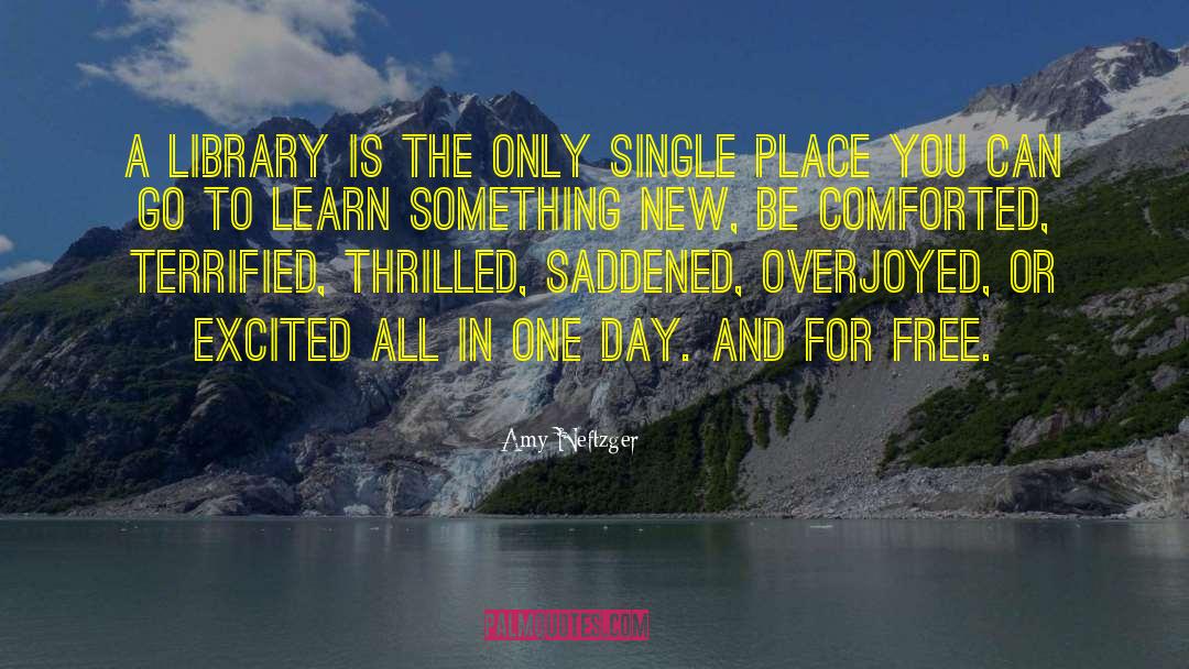 Amy Neftzger Quotes: A library is the only