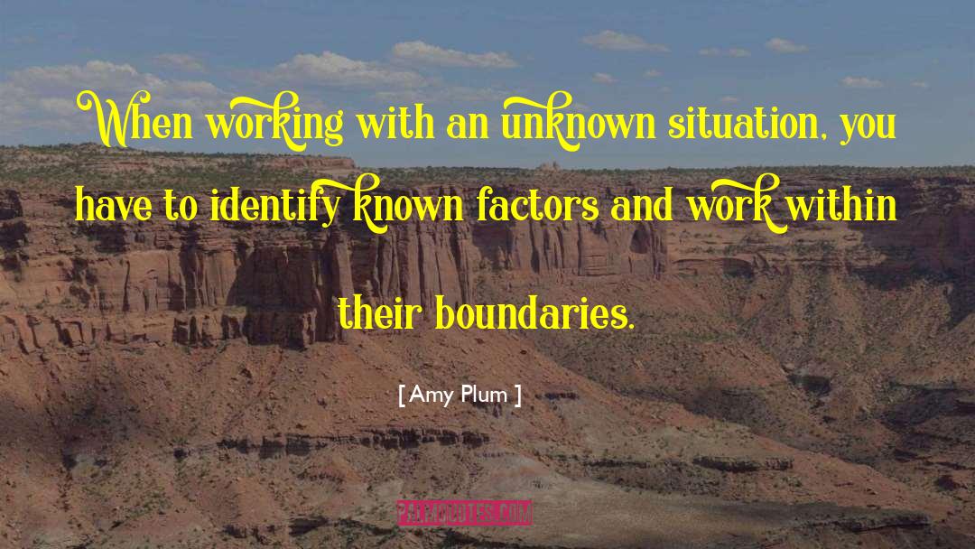 Amy Plum Quotes: When working with an unknown