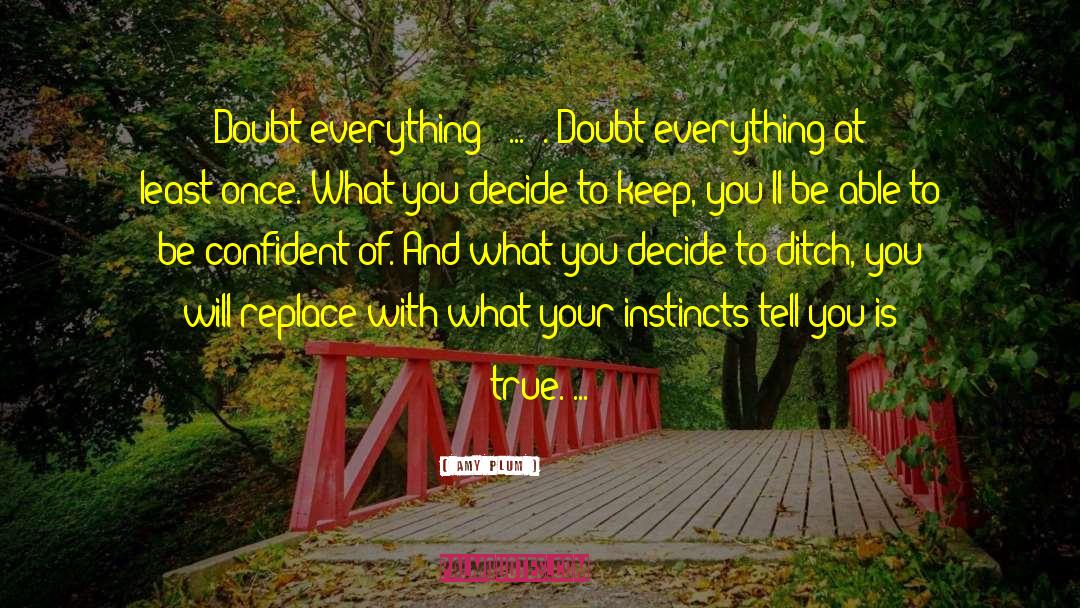 Amy Plum Quotes: Doubt everything [ ... ].