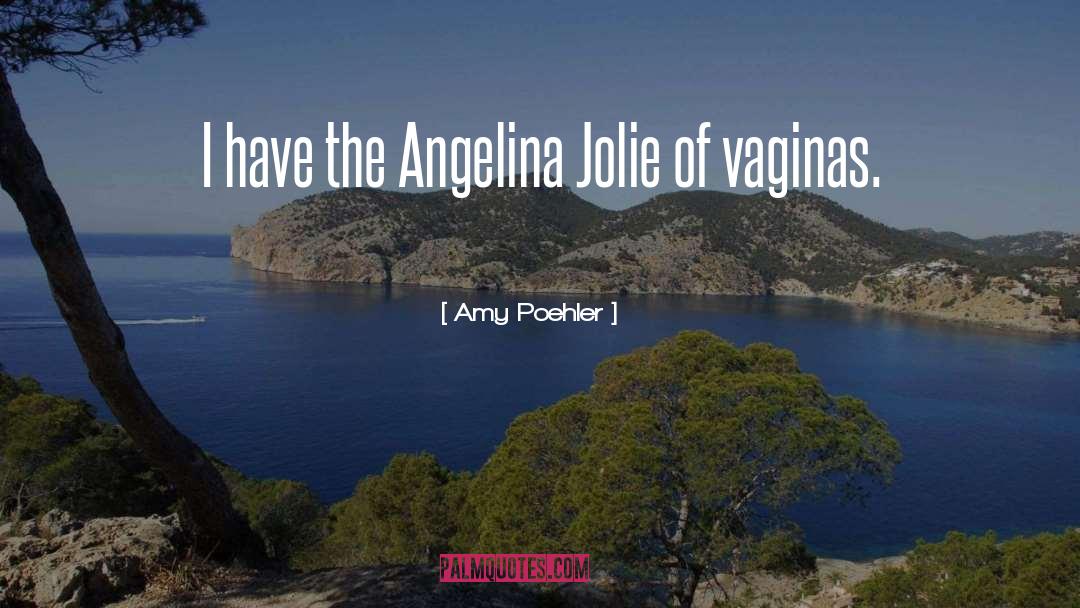 Amy Poehler Quotes: I have the Angelina Jolie