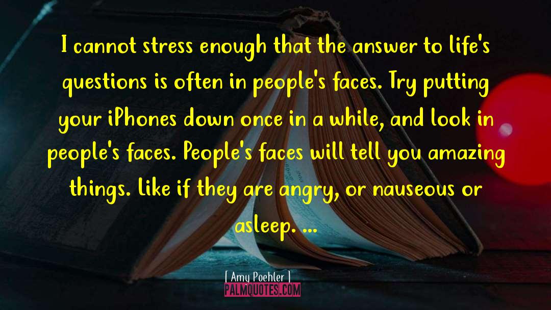 Amy Poehler Quotes: I cannot stress enough that