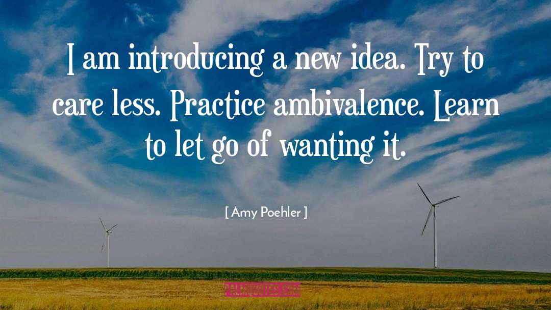 Amy Poehler Quotes: I am introducing a new