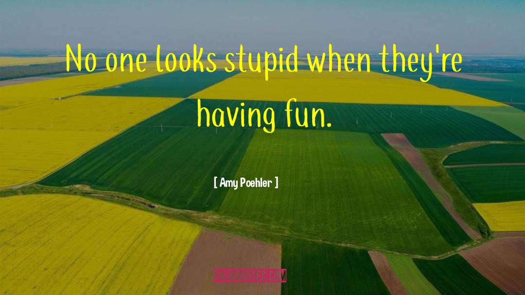 Amy Poehler Quotes: No one looks stupid when