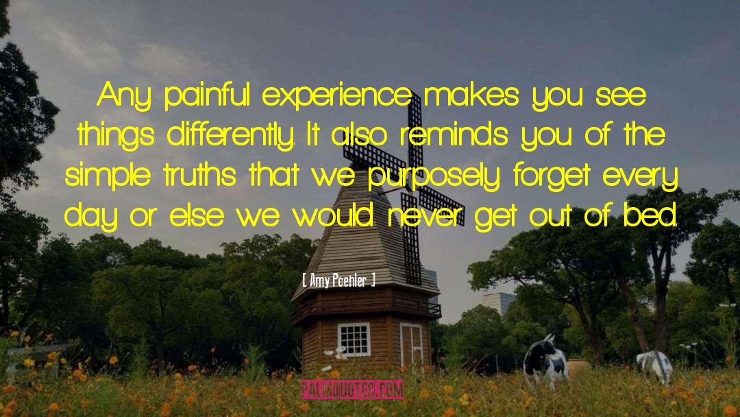 Amy Poehler Quotes: Any painful experience makes you