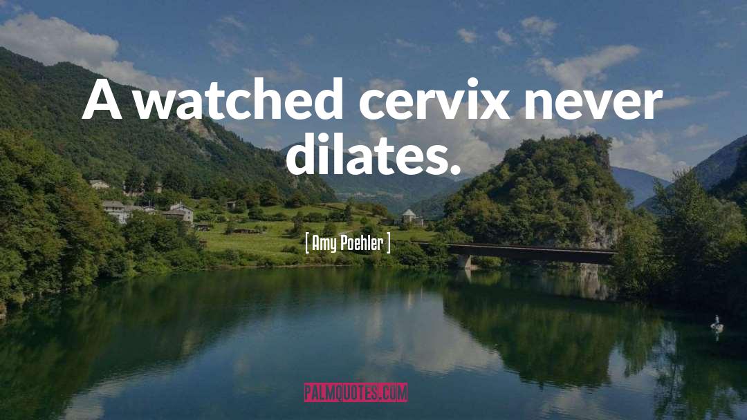 Amy Poehler Quotes: A watched cervix never dilates.