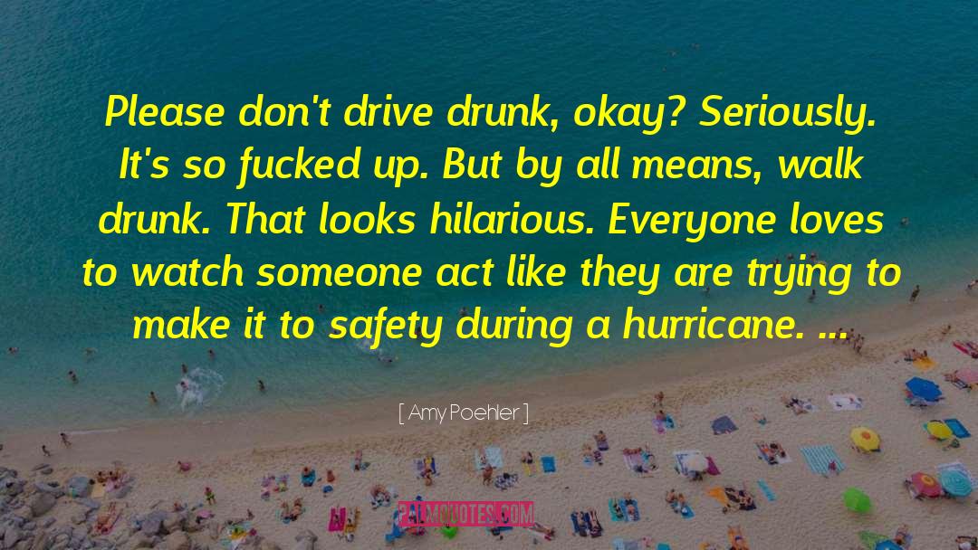 Amy Poehler Quotes: Please don't drive drunk, okay?