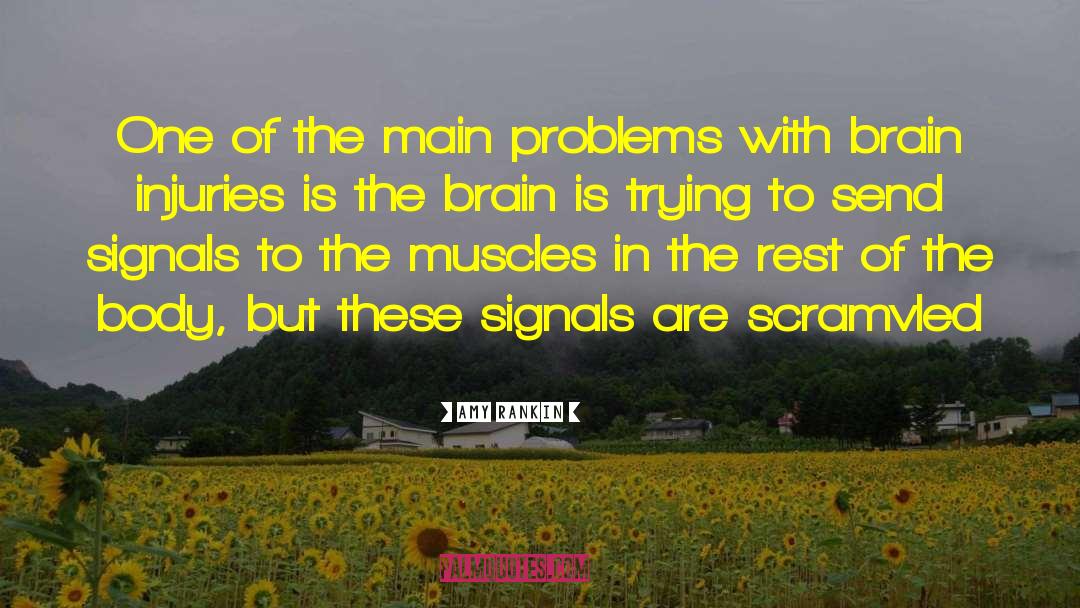 Amy Rankin Quotes: One of the main problems