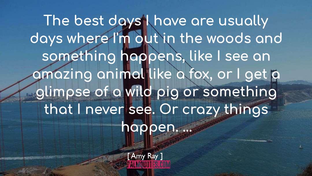 Amy Ray Quotes: The best days I have