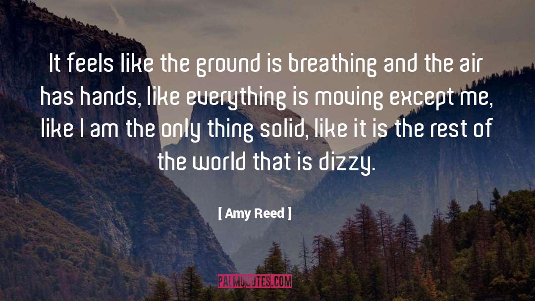 Amy Reed Quotes: It feels like the ground