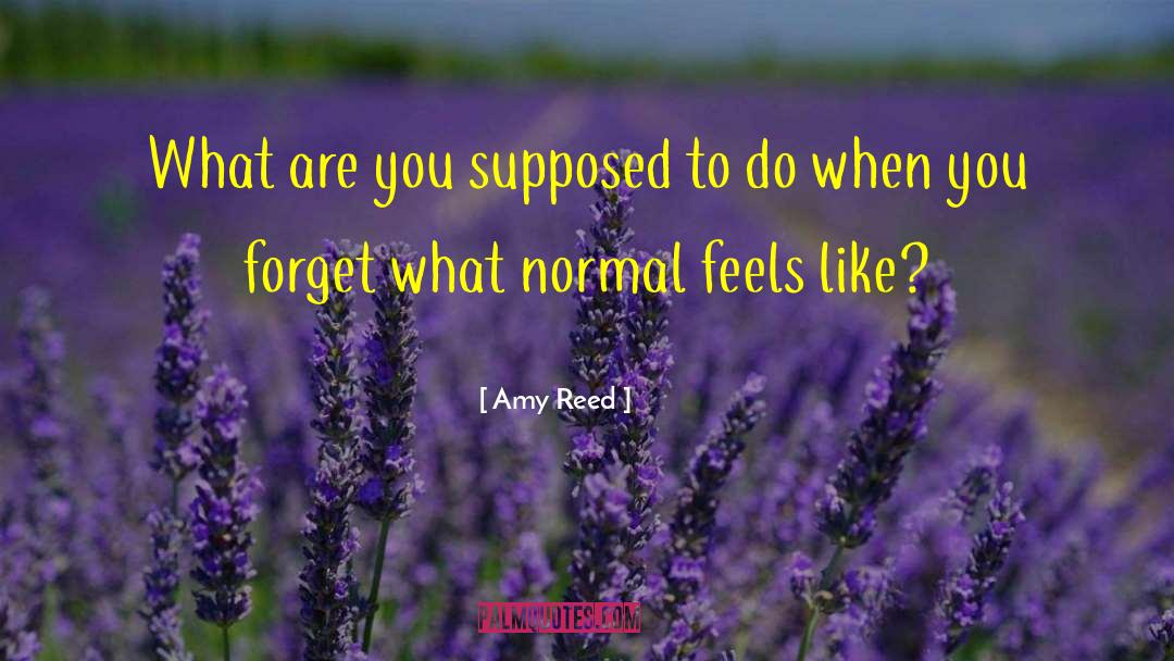 Amy Reed Quotes: What are you supposed to