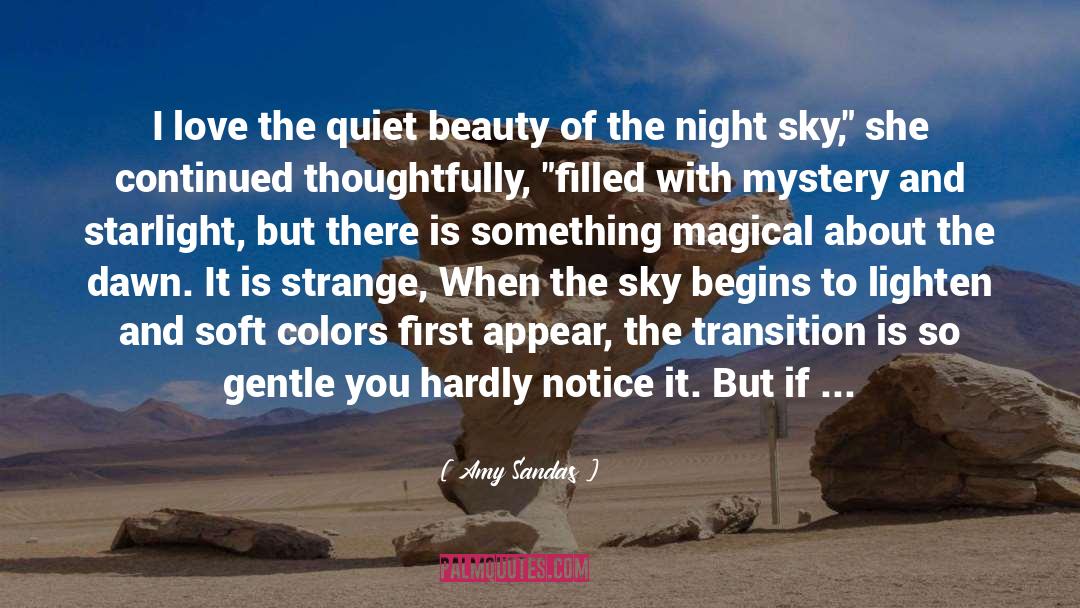 Amy Sandas Quotes: I love the quiet beauty