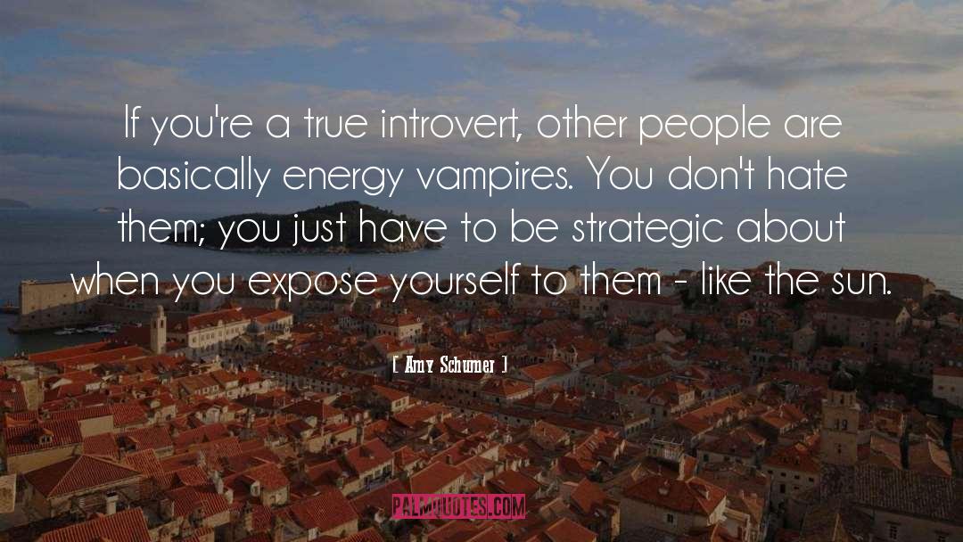 Amy Schumer Quotes: If you're a true introvert,