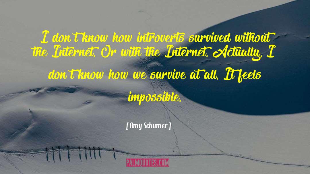 Amy Schumer Quotes: I don't know how introverts