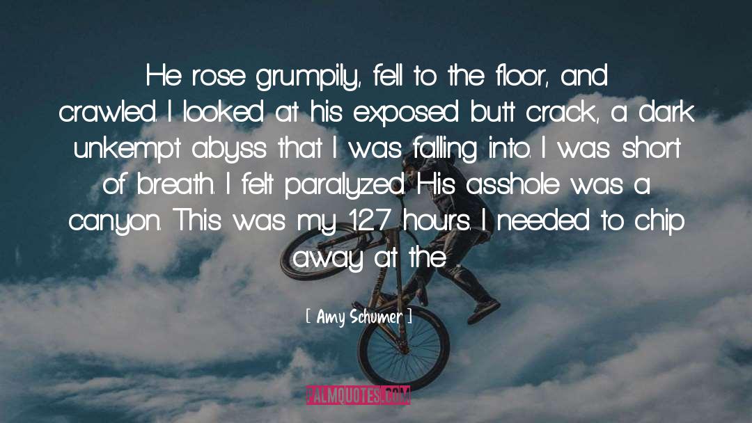 Amy Schumer Quotes: He rose grumpily, fell to
