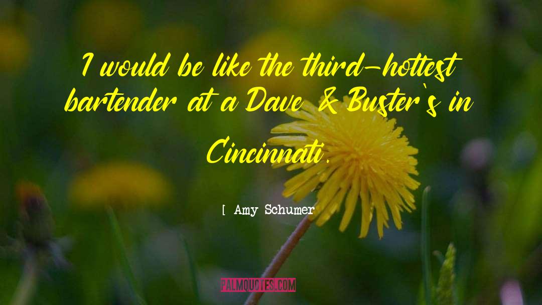 Amy Schumer Quotes: I would be like the