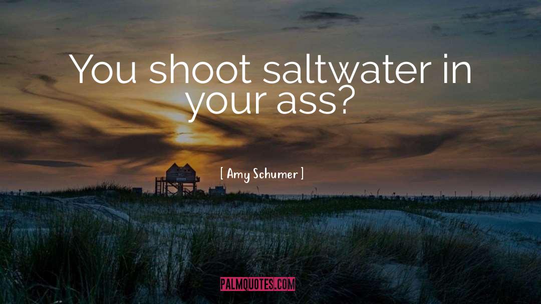 Amy Schumer Quotes: You shoot saltwater in your
