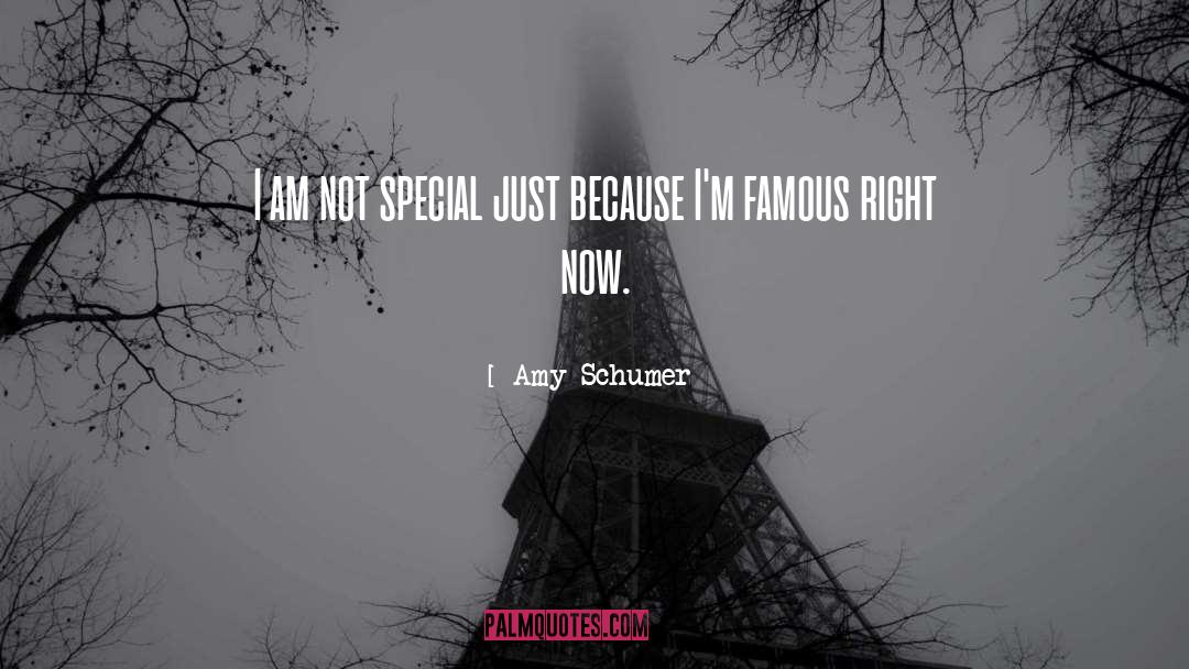 Amy Schumer Quotes: I am not special just