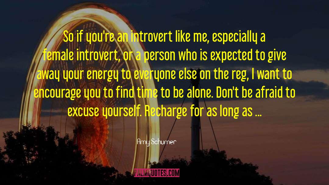 Amy Schumer Quotes: So if you're an introvert