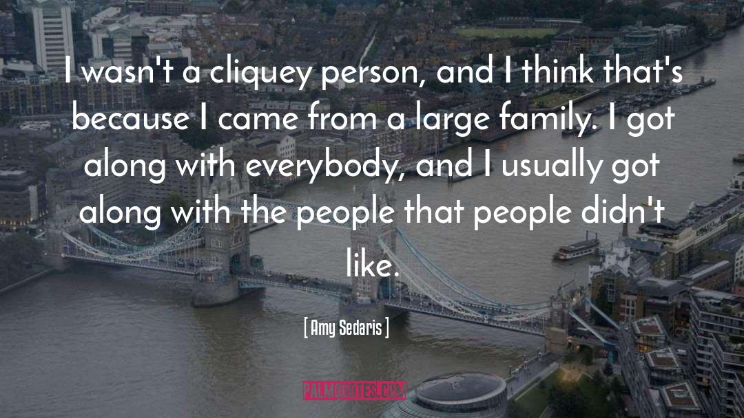 Amy Sedaris Quotes: I wasn't a cliquey person,