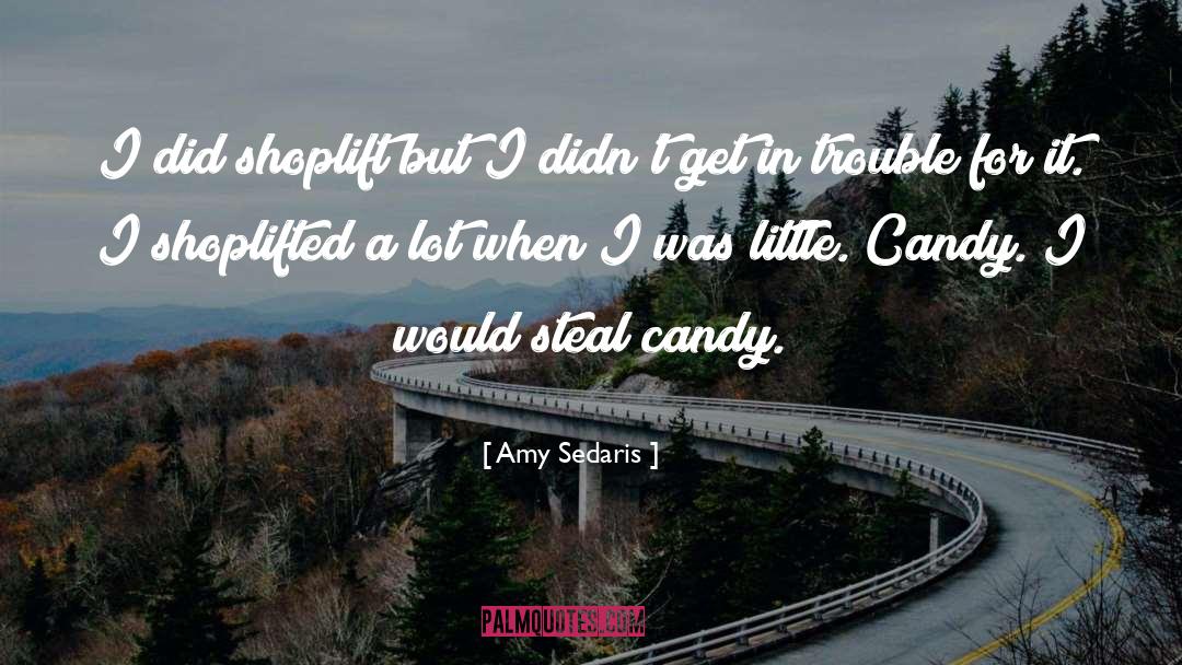 Amy Sedaris Quotes: I did shoplift but I