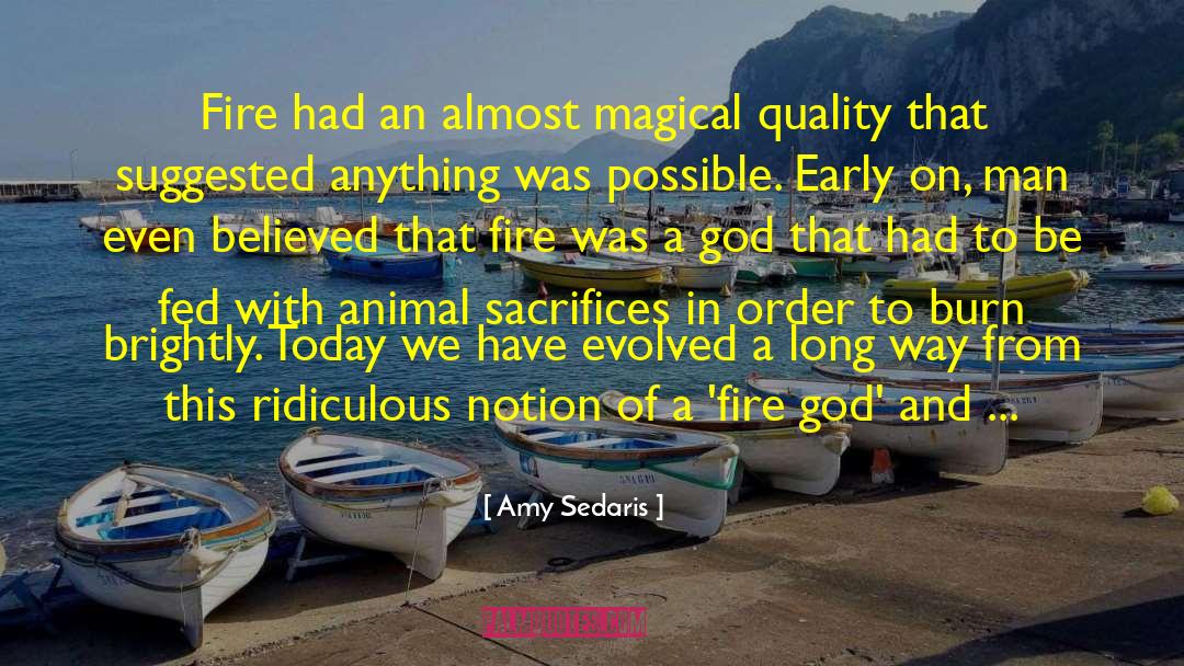 Amy Sedaris Quotes: Fire had an almost magical