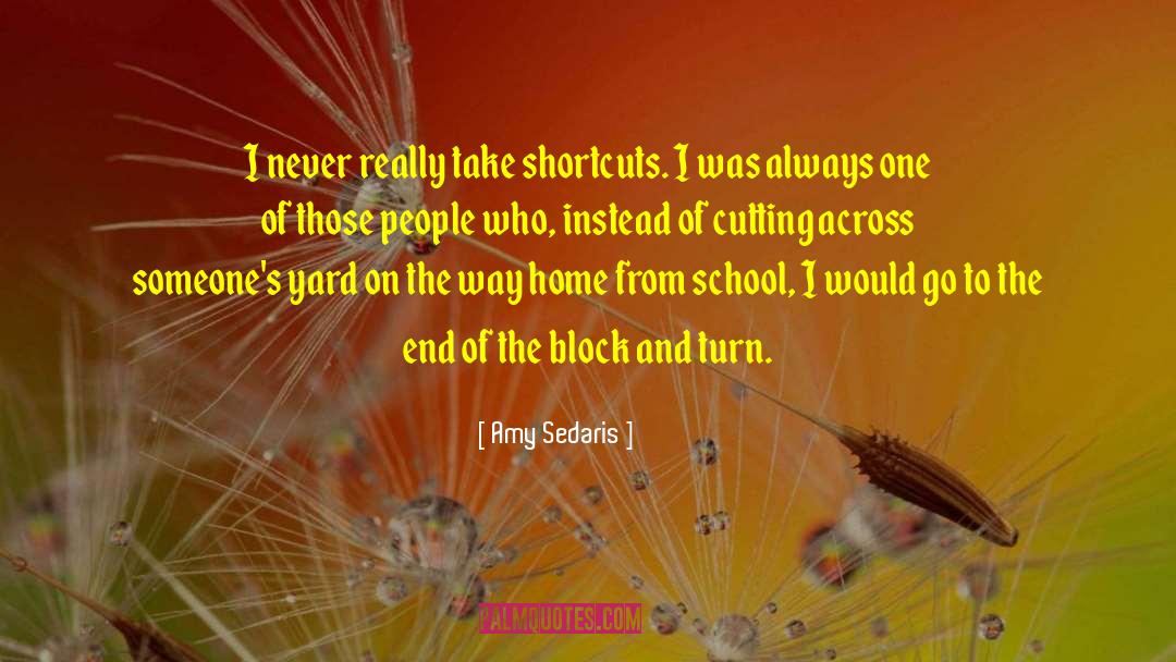 Amy Sedaris Quotes: I never really take shortcuts.