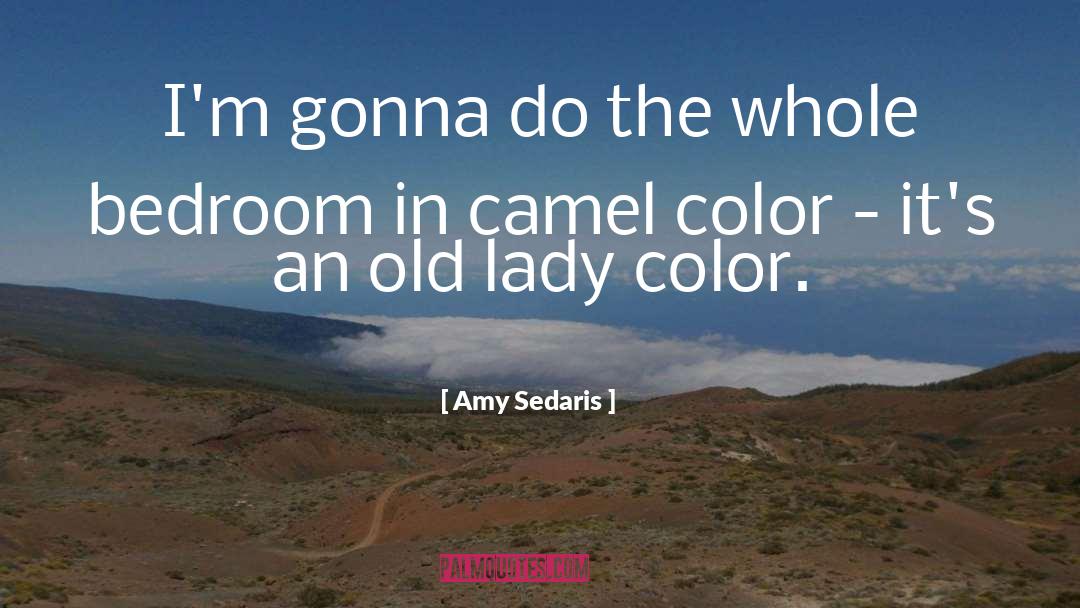 Amy Sedaris Quotes: I'm gonna do the whole