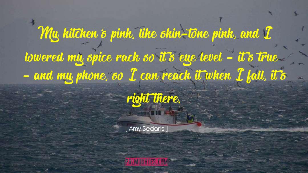 Amy Sedaris Quotes: My kitchen's pink, like skin-tone