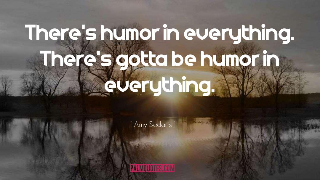 Amy Sedaris Quotes: There's humor in everything. There's