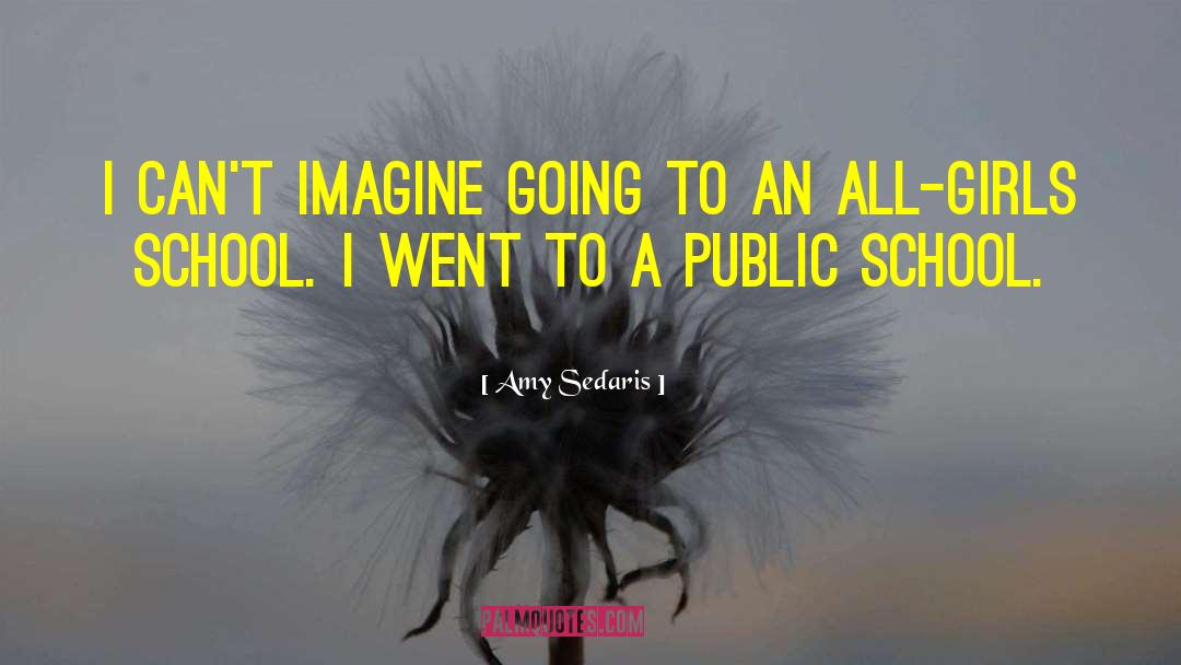 Amy Sedaris Quotes: I can't imagine going to