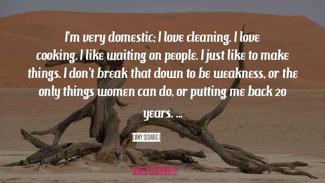 Amy Sedaris Quotes: I'm very domestic; I love