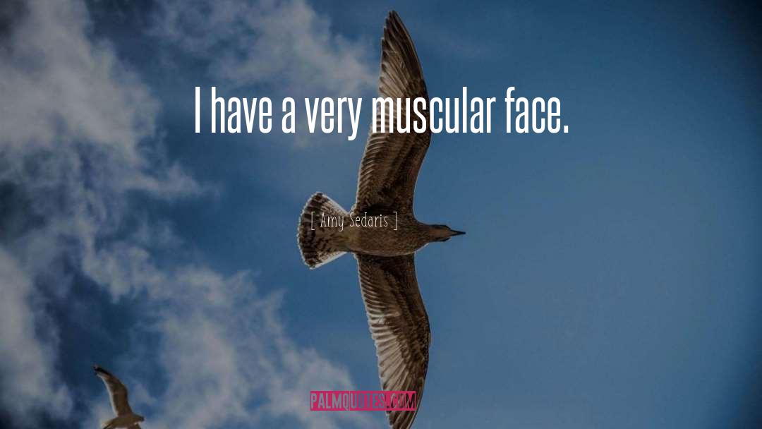 Amy Sedaris Quotes: I have a very muscular