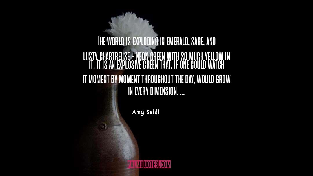 Amy Seidl Quotes: The world is exploding in