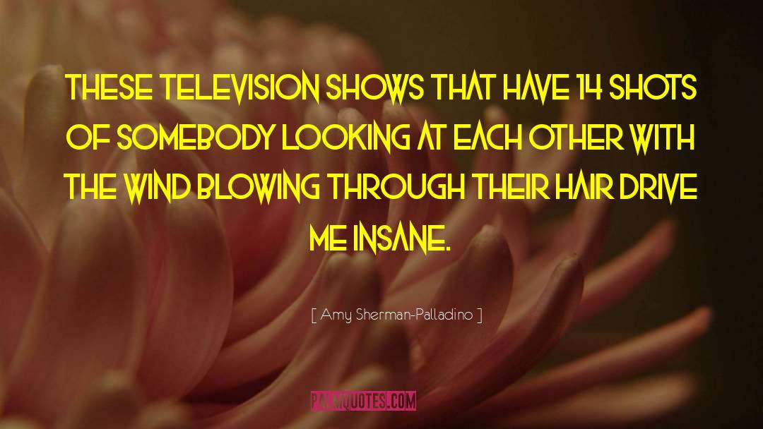 Amy Sherman-Palladino Quotes: These television shows that have