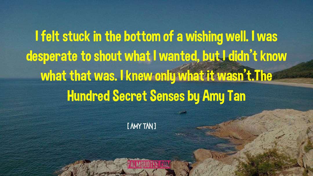 Amy Tan Quotes: I felt stuck in the