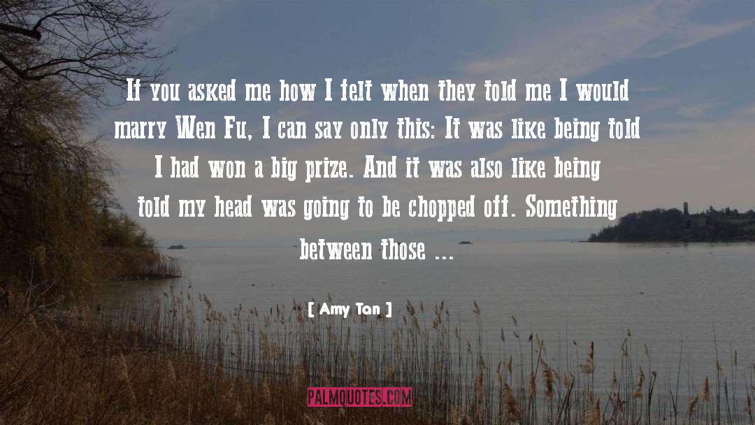 Amy Tan Quotes: If you asked me how