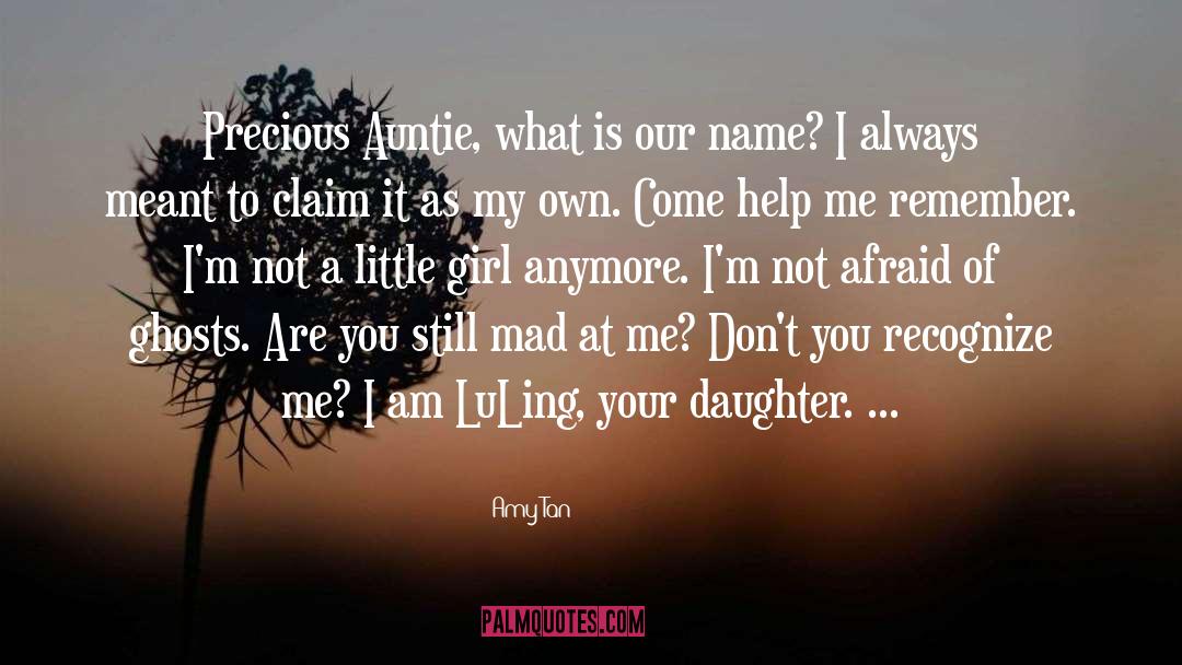 Amy Tan Quotes: Precious Auntie, what is our