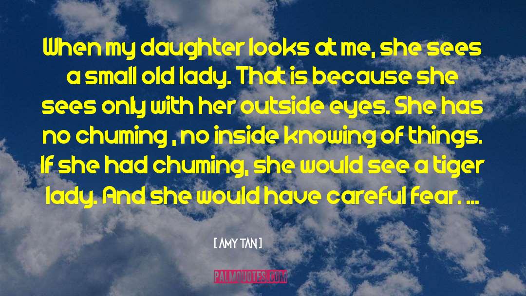 Amy Tan Quotes: When my daughter looks at