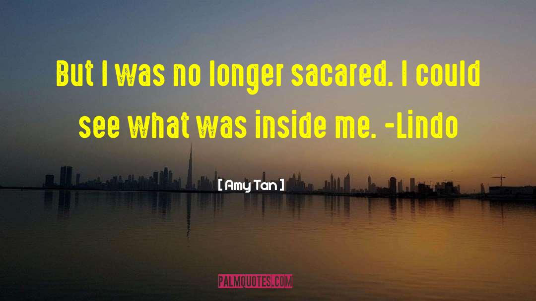 Amy Tan Quotes: But I was no longer