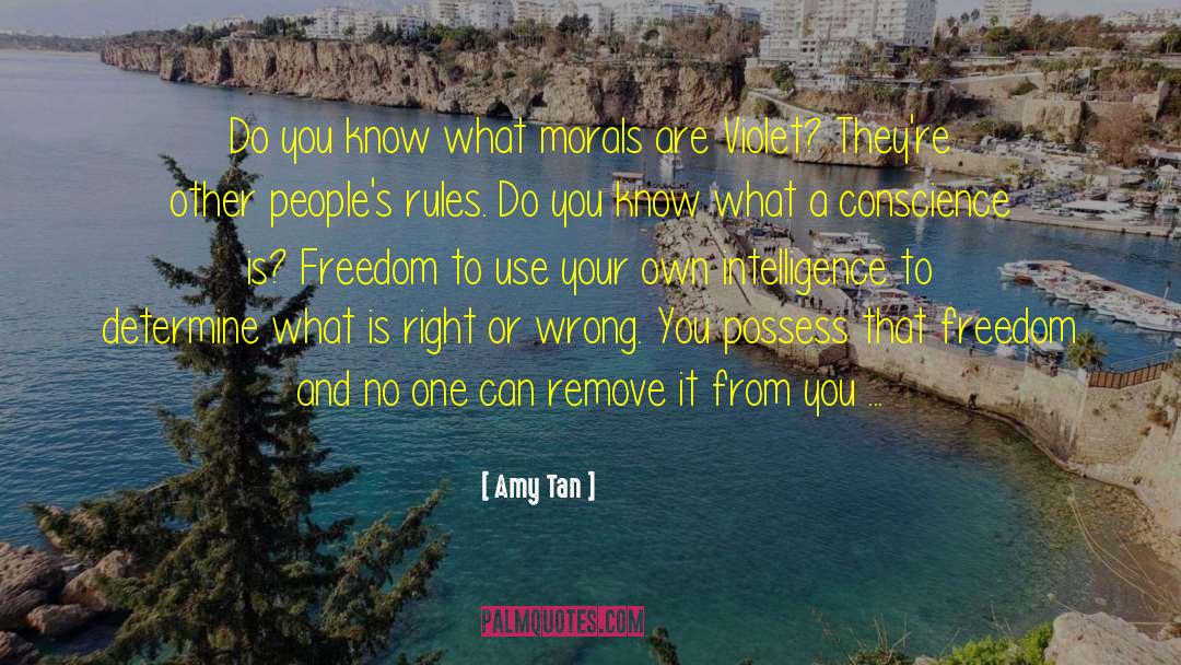 Amy Tan Quotes: Do you know what morals