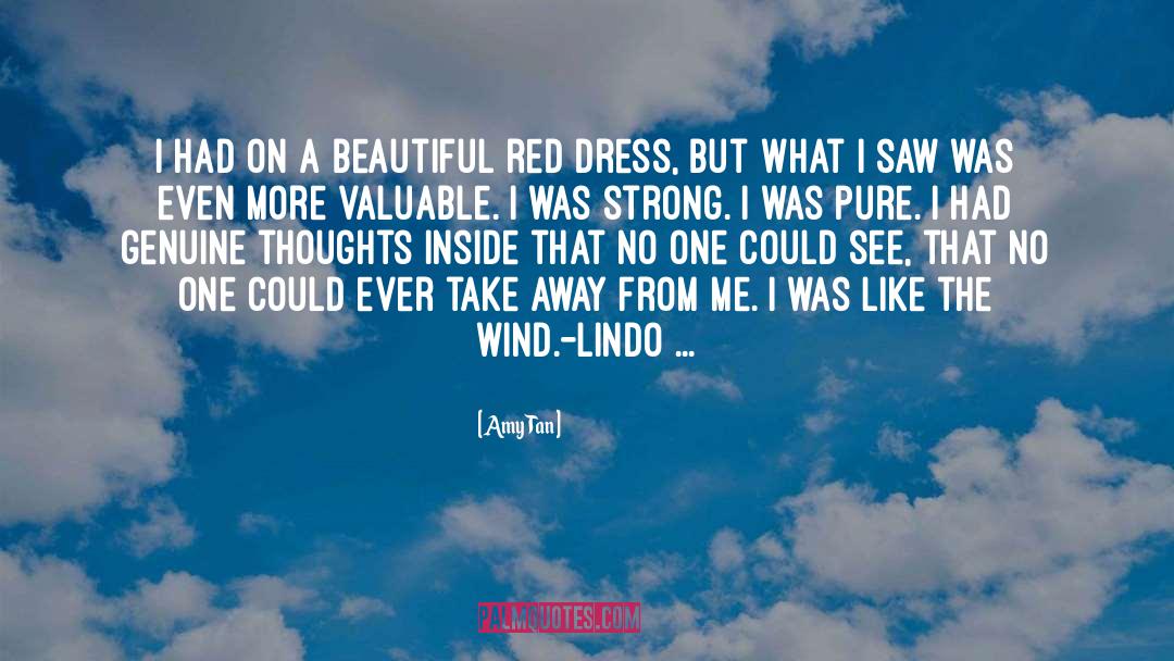 Amy Tan Quotes: I had on a beautiful