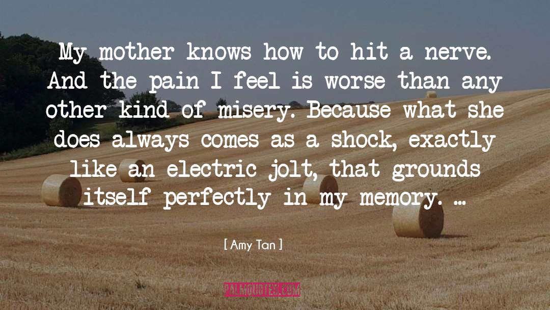 Amy Tan Quotes: My mother knows how to