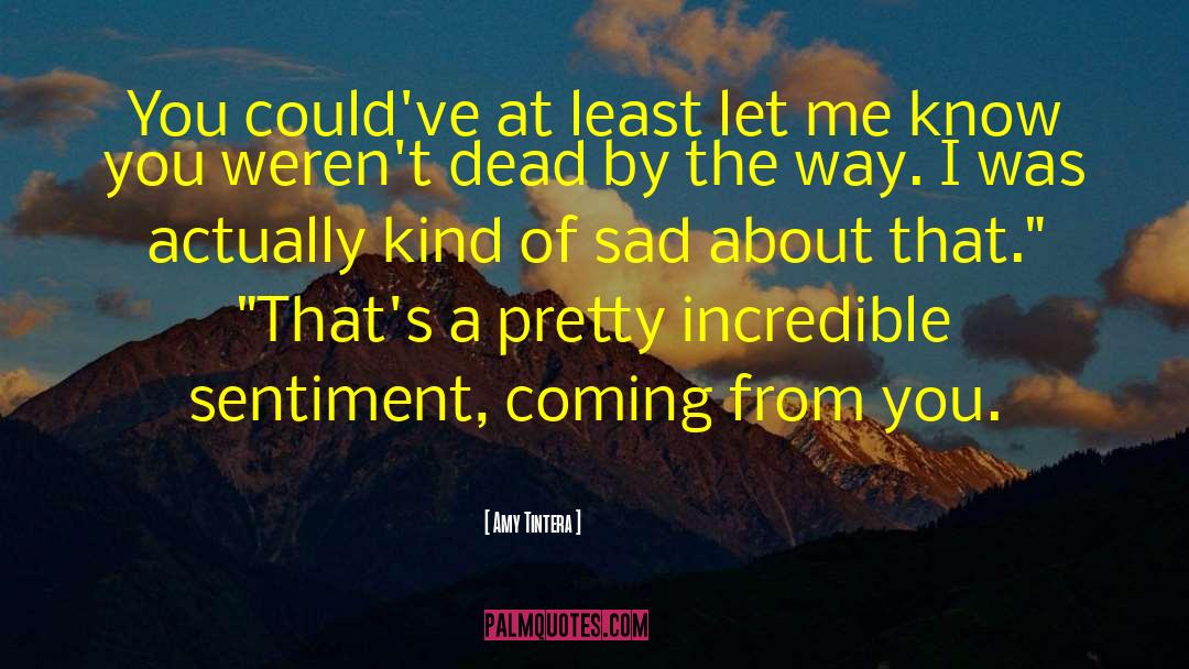 Amy Tintera Quotes: You could've at least let