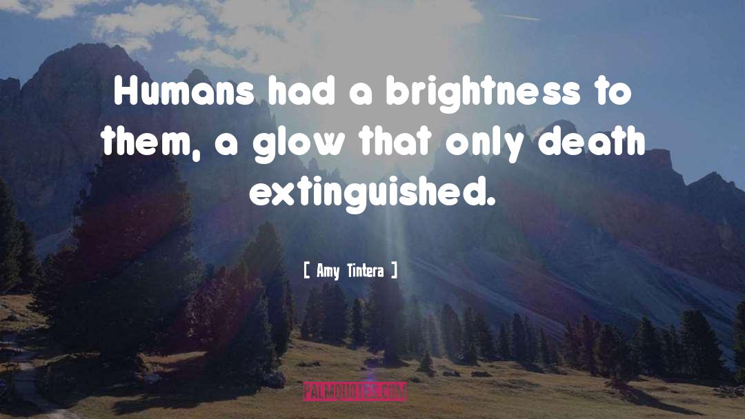 Amy Tintera Quotes: Humans had a brightness to