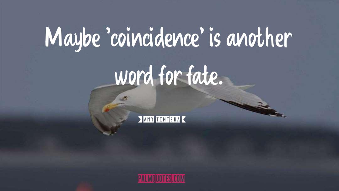 Amy Tintera Quotes: Maybe 'coincidence' is another word