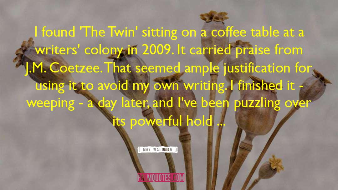 Amy Waldman Quotes: I found 'The Twin' sitting