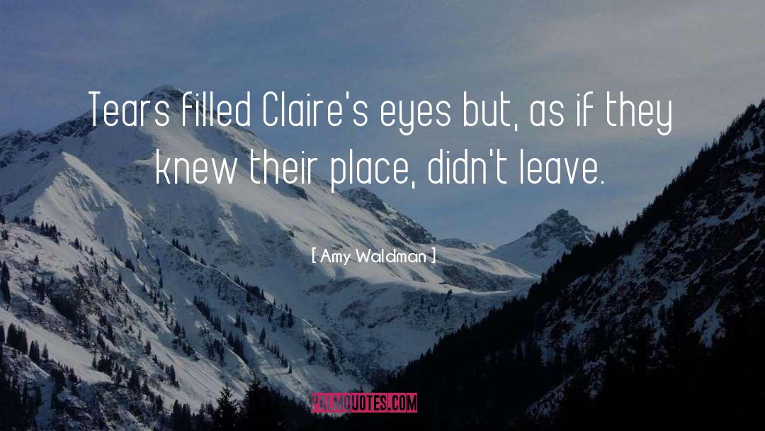 Amy Waldman Quotes: Tears filled Claire's eyes but,