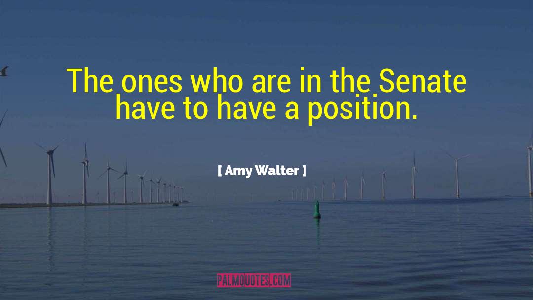 Amy Walter Quotes: The ones who are in